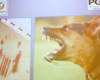 En conferencia de prensa el procurador de justicia del Distrito Federal, dio detalles de los peritajes realizados a las personas fallecidas presuntamente al ser agredidas por una jauría de perros el pasado 5 de Enero en la reserva ecológica del Cerro