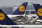 Lufthansa transporta a un promedio de 106 millones de personas anualmente