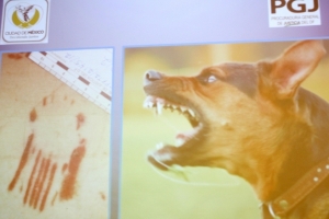 En conferencia de prensa el procurador de justicia del Distrito Federal, dio detalles de los peritajes realizados a las personas fallecidas presuntamente al ser agredidas por una jauría de perros el pasado 5 de Enero en la reserva ecológica del Cerro